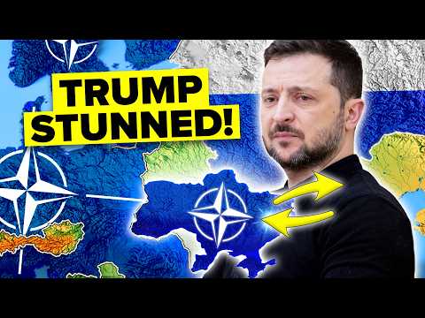 Zelenskyy’s SHOCKING Offer to NATO SHOCKS the World