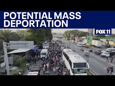 Trump&#039;s mass deportation plan leaves immigrants scared, confused