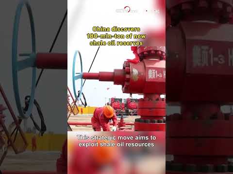 China discovers 180-mln-ton of new shale oil reserves